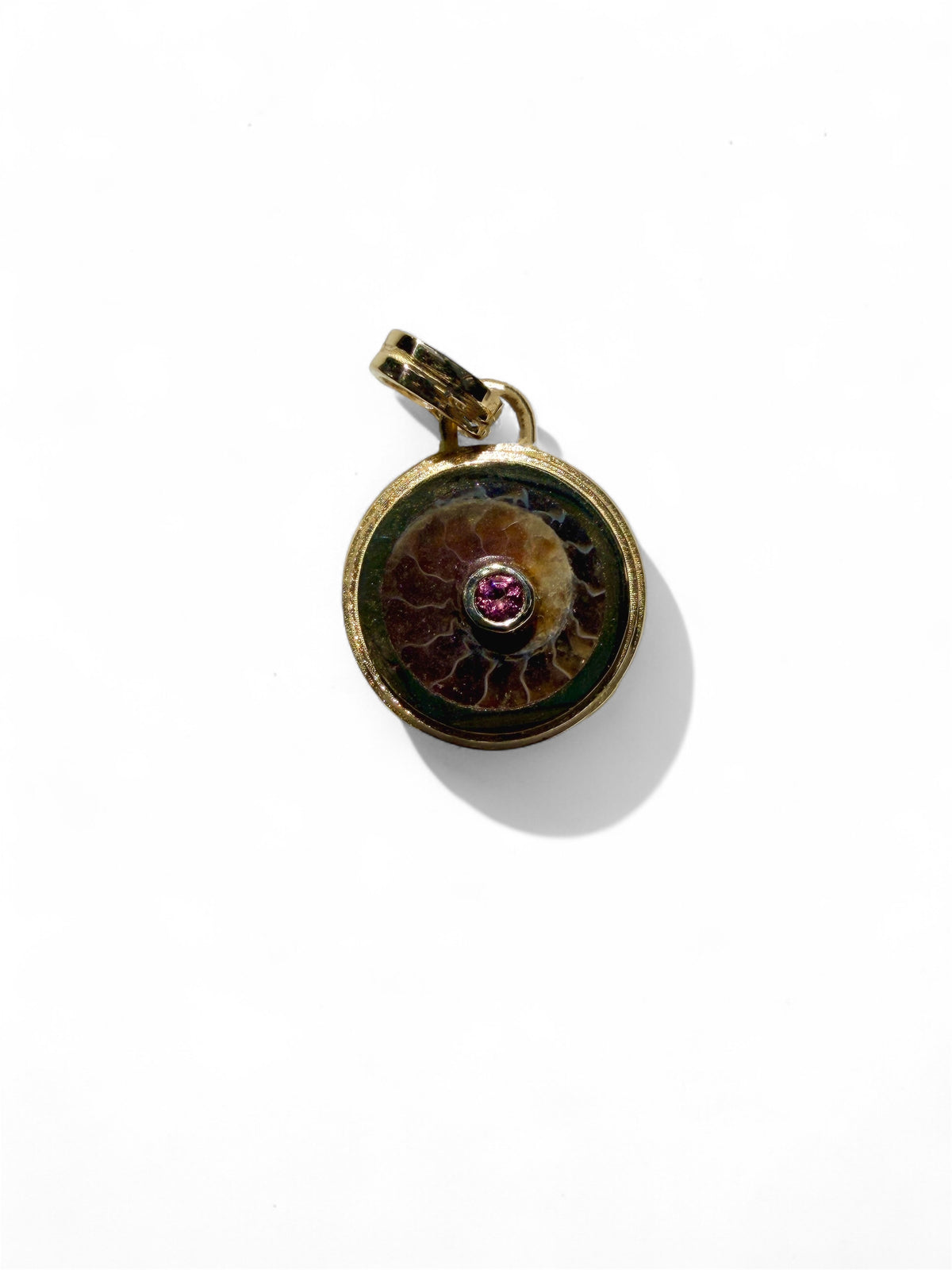 Ammonite Fossil Duality Charm